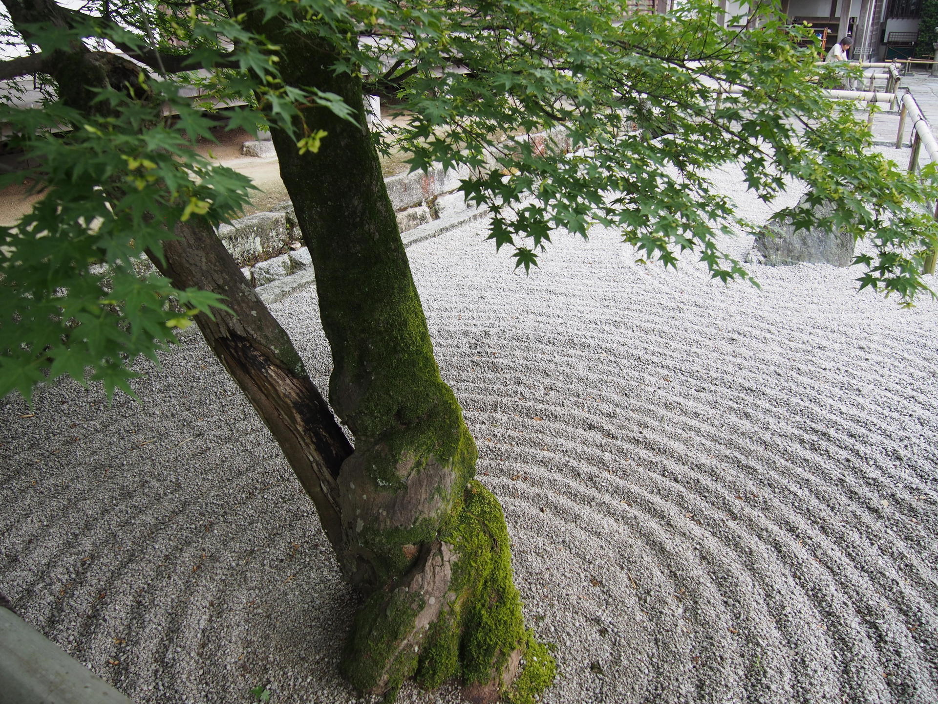 光明禅寺（こうみょうぜんじ）「仏光石庭」「一滴海庭」-福岡の苔寺/庭